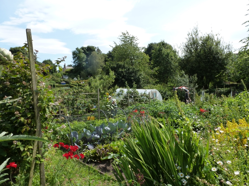 St Margaret's Allotments, Churchyard & Centre